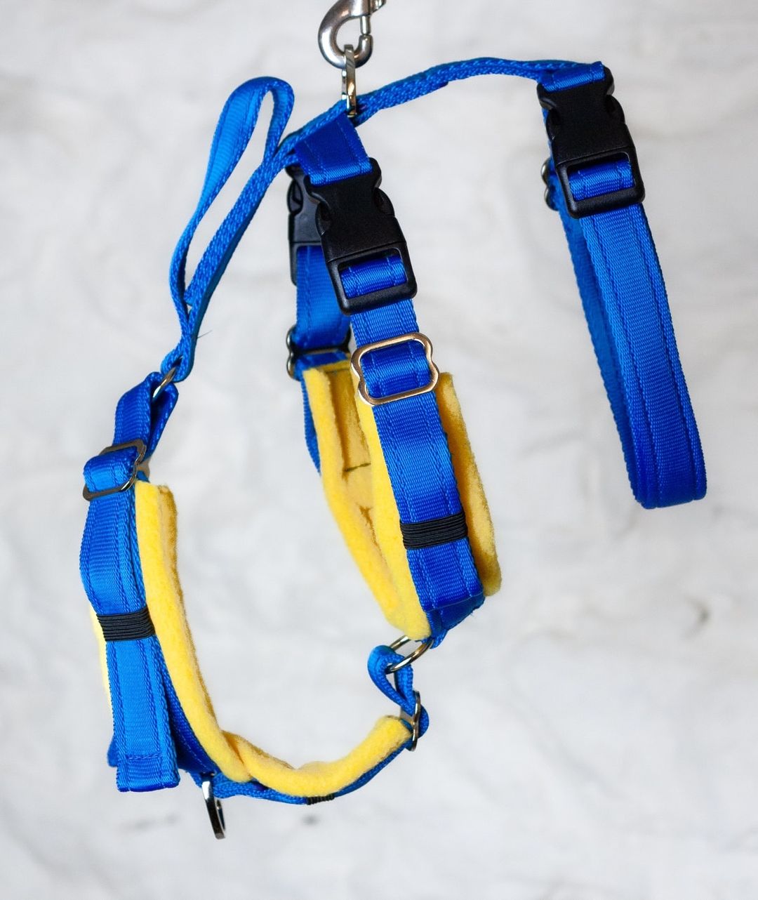 Houdini discount dog harness